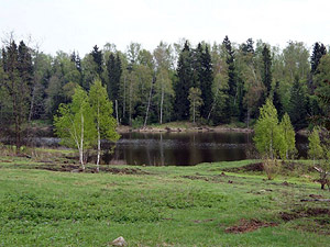 Земля в Московской области